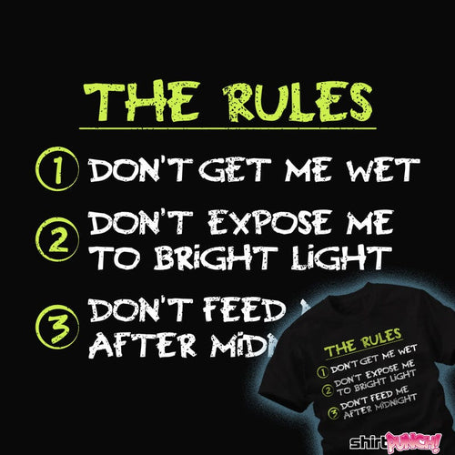 Secret_Shirts My Three Rules My Three Rules