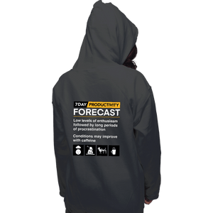 Secret_Shirts Pullover Hoodies, Unisex / Small / Charcoal Productivity Forecast