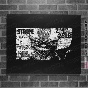 Shirts Posters / 4"x6" / Black Stripe Has A Posse